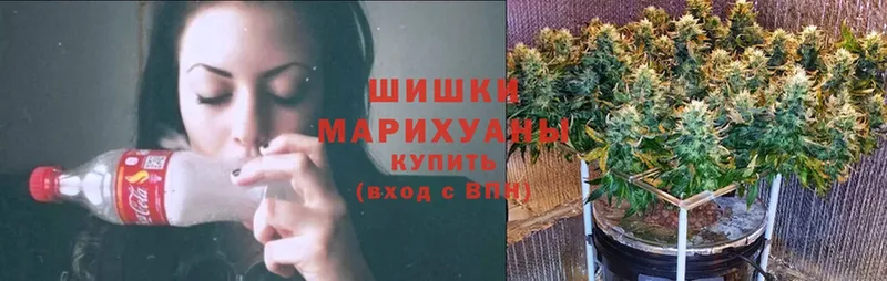 мориарти наркотические препараты  купить наркотик  Заринск  МАРИХУАНА Ganja 